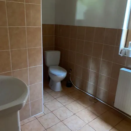 Baza Vidpochynku Ilz *