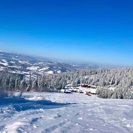 Baza Vidpochynku Ilz