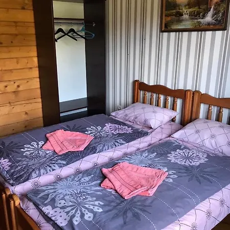 Baza Vidpochynku Ilz Дерев'яний котедж