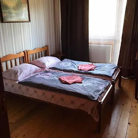 Baza Vidpochynku Ilz Дерев'яний котедж *