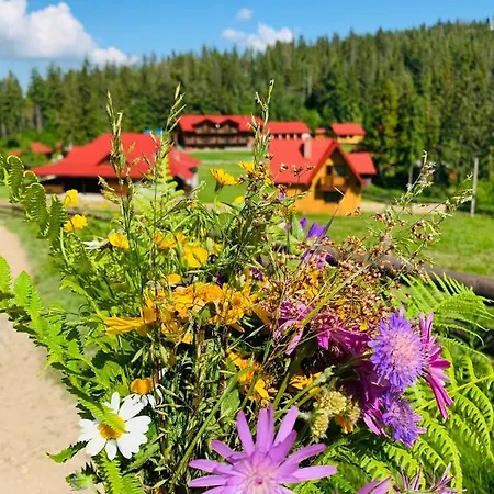 Baza Vidpochynku Ilz *