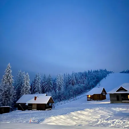 Baza Vidpochynku Ilz *