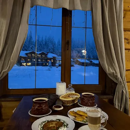 Baza Vidpochynku Ilz