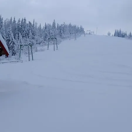 Baza Vidpochynku Ilz