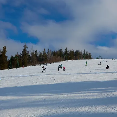 Baza Vidpochynku Ilz Hytte