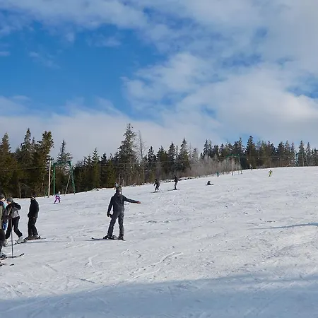 Baza Vidpochynku Ilz Lodge