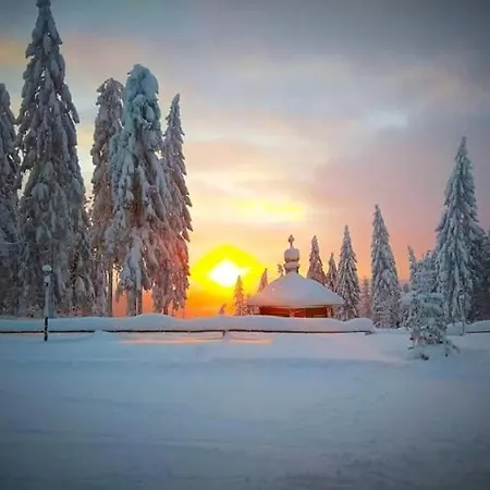 山林小屋 Baza Vidpochynku Ilz